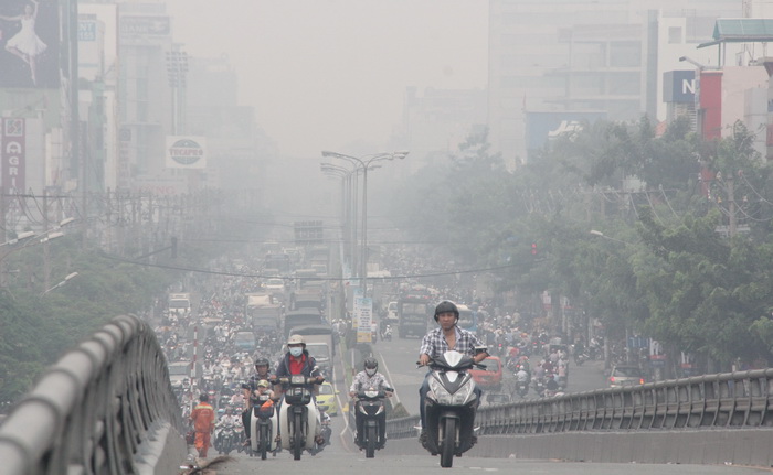 Sương mù bức xạ mang khói bụi ô nhiễm